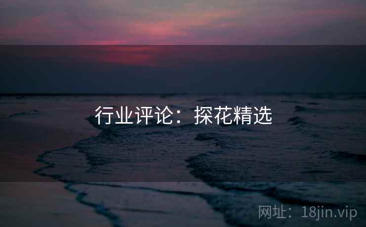 行业评论:探花精选